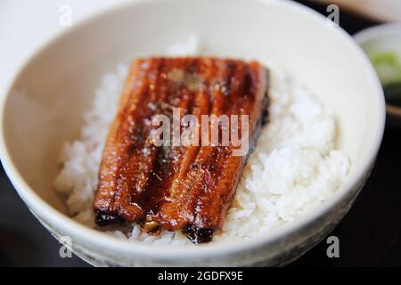 Unagi don, gegrillter Aal mit Reis, japanische Küche Stockfoto