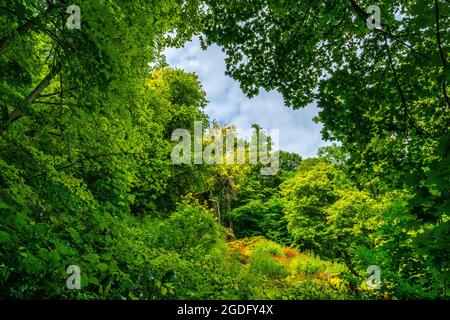 Biosphärengebiet Schwäbische Alb, Baden-Württemberg, Süddeutschland, Europa Stockfoto