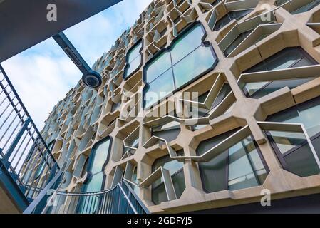 Das Gebäude der University of Tasmania Medical Science 2 (MS2) befindet sich neben dem Menzies Institute for Medical Research in Hobart, Tasmanien, Australien Stockfoto