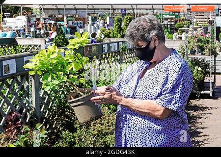 Model veröffentlicht ältere Frau Shopper & covid 19 Coronavirus Gesichtsmaske Shopping für Topf gewachsen Smoke Tree Strauch Cotinus Gartencenter England Großbritannien Stockfoto