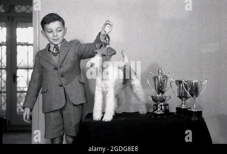 1955, historisch, zeigt ein junger Junge in seiner Schule stolz seinen preisgekrönten Hund, einen Drahtfuchsterrier, der auf einem kleinen Tisch neben den mehreren Trophäen steht, die er auf Hundeausstellungen in England gewonnen hat. Mit seinem markanten Aussehen, seinem drahtig Mantel und seinen ausdrucksstarken Eigenschaften war der Wire in der Vergangenheit ein erfolgreicher Showhund und eine beliebte Präsenz in Filmen und Fernsehen. In England werden Wire und Smooth Fox Terrier seit den 1870er Jahren als getrennte Rassen anerkannt, im Gegensatz zu den USA, als sie erst 1985 als eigenständige Rassen anerkannt wurden. Stockfoto