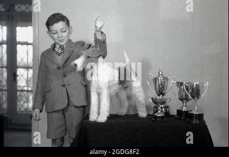 1955, historisch, zeigt ein junger Junge in seiner Schule stolz seinen preisgekrönten Hund, einen Drahtfuchsterrier, der auf einem kleinen Tisch neben den mehreren Trophäen steht, die er auf Hundeausstellungen in England gewonnen hat. Mit seinem markanten Aussehen, seinem drahtig Mantel und seinen ausdrucksstarken Eigenschaften war der Wire in der Vergangenheit ein erfolgreicher Showhund und eine beliebte Präsenz in Filmen und Fernsehen. In England werden Wire und Smooth Fox Terrier seit den 1870er Jahren als getrennte Rassen anerkannt, im Gegensatz zu den USA, als sie erst 1985 als eigenständige Rassen anerkannt wurden. Stockfoto