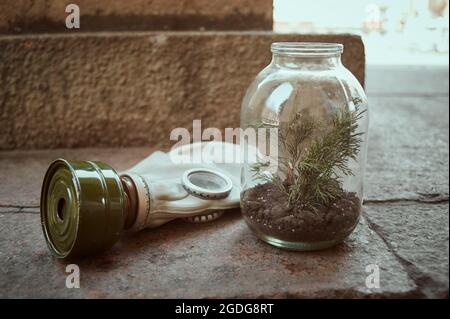 Die Gasmaske liegt in der Nähe einer grünen Pflanze, die in einem leeren Gefäß wächst Stockfoto
