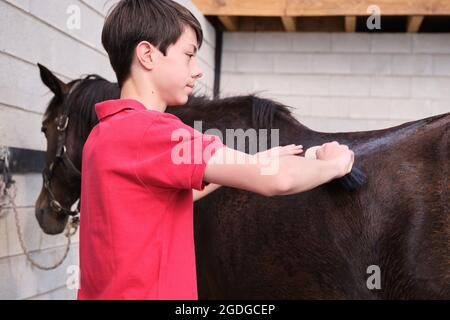 Teenager Junge putzt ein Pferd in einem Stall. Stockfoto
