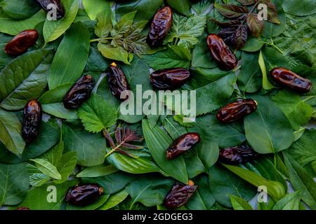 Datteln Früchte auf grünen Blättern. Muster aus frischen Blättern und vegetarischen Speisen. Ramadan-Konzept. Gesunde Süßigkeiten. Stockfoto