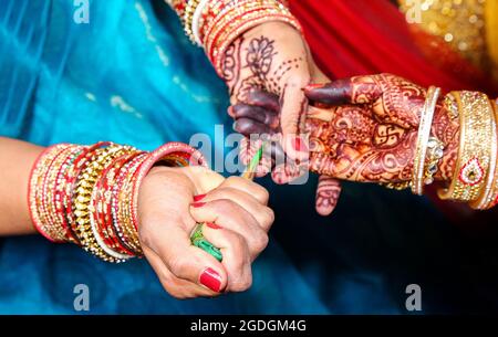 Künstler, die Anwendung von Henna-Tattoo auf Frauen Hände. Mehndi ist die traditionelle indische dekorative Kunst. Close-up Stockfoto