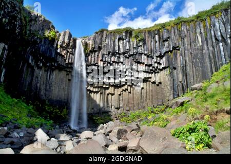 Svartifoss Wasserfall mit Basaltsäulen in Südisland Stockfoto