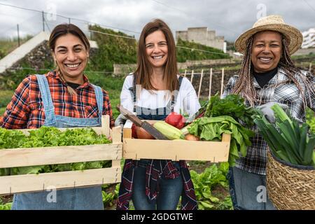 Multirassische Farmerinnen, die auf dem Land arbeiten und frisches Gemüse ernten - Lifestyle-Konzept der Farm People Stockfoto