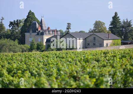 Domaine Albert Morot mit den Clos Les Teurons Weinbergen des Hospice de Beaune, Beaune FR Stockfoto