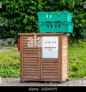 £1 Punnet Erdbeere Ehrlichkeit Boxen; Ehrlichkeit Box Zahlung, freiwillige Spende. Bitte bedienen Sie sich selbst. Selbstbedienungsladen am Straßenrand Farm-Shop, der Eveready-Erdbeeren in Tarleton, Großbritannien, verkauft Stockfoto