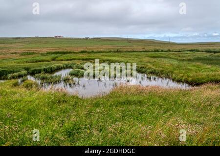 Der Blick aus dem Versteck am Vogelschutzgebiet RSPB Fetlar auf der Insel Fetlar, Shetland. Stockfoto