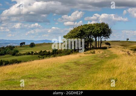 Der Eingang zum Prestbury Hill Nature Reserve am Cleeve Common, Cheltenham Spa, Gloucestershire, England Stockfoto