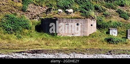 Militärische Verteidigung des Zweiten Weltkriegs - ehemalige militärische Pillenbox der Armee am Strand von Inverbervie, Schottland (noch 2021 vorhanden). Der Name im schottischen Gälisch ist Inbhir Biorbhaidh oder Biorbhaigh und bedeutet 'mouth of the River Bervie'. Die Stadt liegt an der Nordostküste Schottlands, in der Nähe von Stonehaven. Heute Teil von Aberdeenshire war es historisch in Kincardineshire, Stockfoto