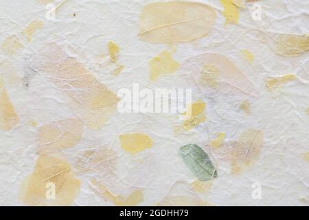 Gestreifte Blumen auf Mulberry Papier Textur Hintergrund Stockfoto