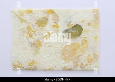 Gestreifte Blumen auf Mulberry Papier Textur Hintergrund Stockfoto