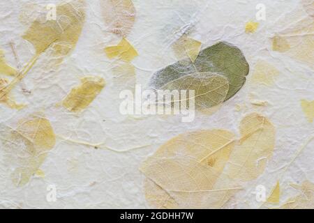 Gestreifte Blumen auf Mulberry Papier Textur Hintergrund Stockfoto