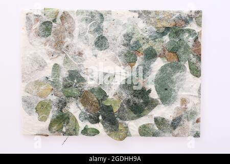 Gestreifte Blumen auf Mulberry Papier Textur Hintergrund Stockfoto