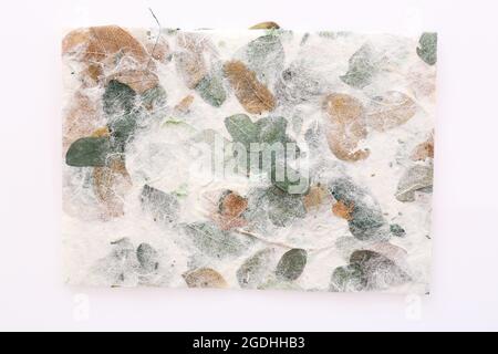 Gestreifte Blumen auf Mulberry Papier Textur Hintergrund Stockfoto