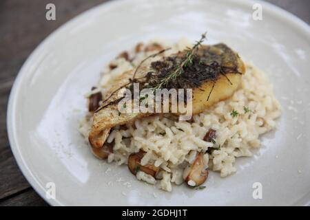Risotto mit Seebarsch-Filetsteak auf Holzhintergrund, italienische Küche Stockfoto