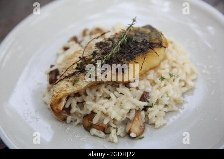 Risotto mit Seebarsch-Filetsteak auf Holzhintergrund, italienische Küche Stockfoto
