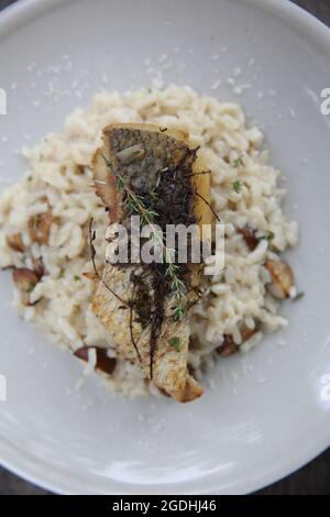 Risotto mit Seebarsch-Filetsteak auf Holzhintergrund, italienische Küche Stockfoto