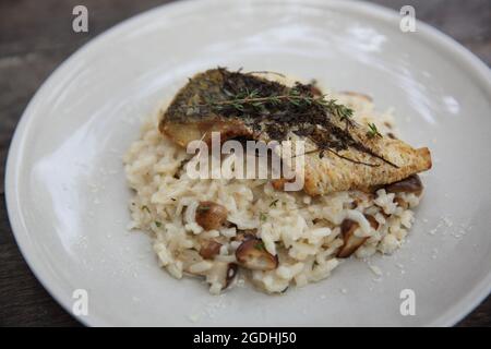 Risotto mit Seebarsch-Filetsteak auf Holzhintergrund, italienische Küche Stockfoto