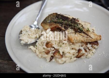 Risotto mit Seebarsch-Filetsteak auf Holzhintergrund, italienische Küche Stockfoto