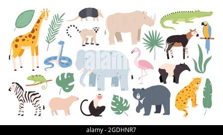 Flache wilde Safaritiere aus Regenwald und Savanne. Dschungelwaldvögel, Affen und Schlangen. Afrikanisches Zebra-, Krokodil- und jaguar-Vektorset Stock Vektor