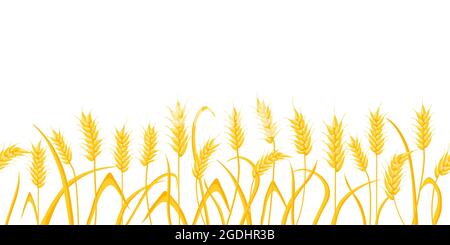 Cartoon Bauernhof Feld Hintergrund mit goldenen Weizenspitzen. Landwirtschaft Getreideernte Ohren. Ländliche Szene mit Kornernte Vektor-Grenzmuster Stock Vektor