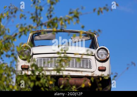 Die Überreste eines Trabant-Körpers verstecken sich hinter grünem Laub vor einem blauen Himmel. Stockfoto