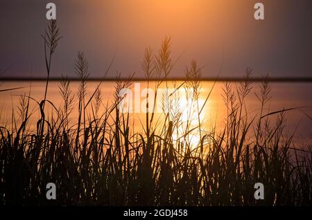 Die Sonne untergeht über Heron Bay an der Heron Bay Cutoff, 12. August 2021, in CODEN, Alabama. Stockfoto