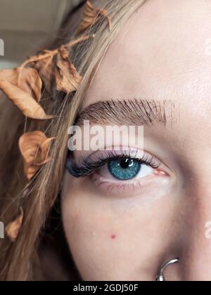 Wimpern Erweiterungen im Schönheitssalon Makro Auge Stockfoto