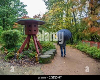 Mann, der an einem regnerischen Herbsttag mit einem Regenschirm in einem japanischen Garten auf der Insel Versailles in Nantes, Frankreich, spazierengeht Stockfoto