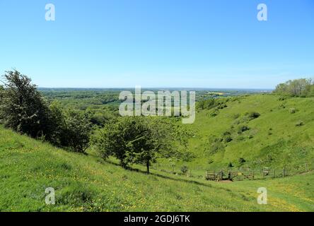 Teufel kneten auf den Broad Downs und dem Wye National Nature Reserve oberhalb von Wye, Ashford, Kent, England, Vereinigtes Königreich Stockfoto