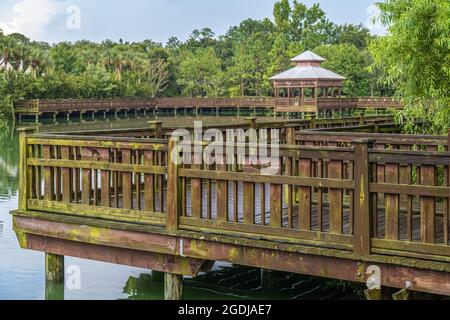 Holzsteg und Rookery Pavilion im Bird Island Park entlang des Highway A1A in Ponte Vedra Beach, Florida. (USA) Stockfoto