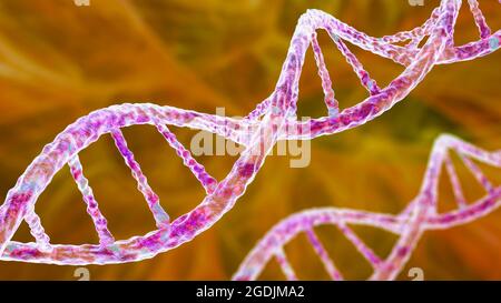 DNA-Molekül, Abbildung Stockfoto