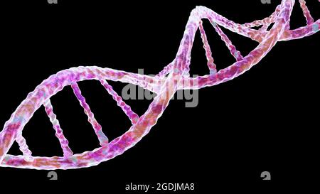 DNA-Molekül, Abbildung Stockfoto