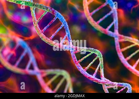 DNA-Molekül, Abbildung Stockfoto