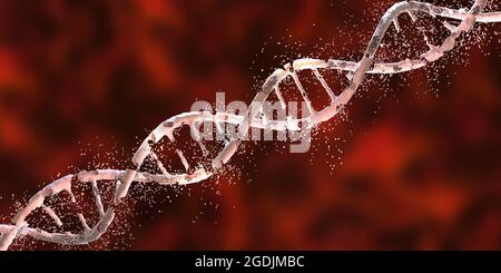 DNA-Schäden, konzeptionelle Darstellung Stockfoto