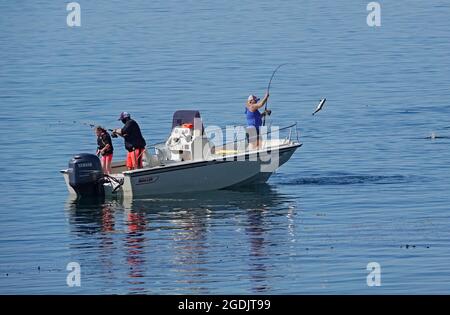 Sitka, Alaska. Fischer in einem kleinen Boot im Hafen von Sitka haben chinook, Pink und Chum Lachs gegossen. Stockfoto