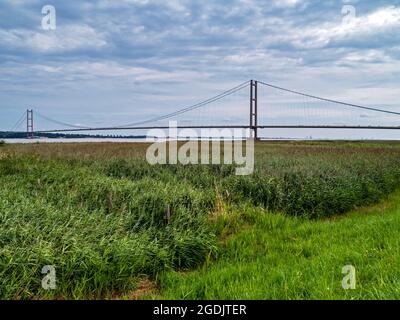 Humber Bridge über Schilfbetten neben der Humber Estuary, England Stockfoto