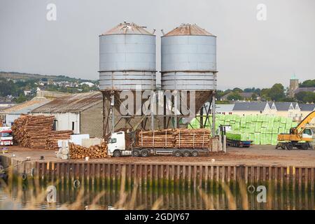 Holzexport oder Import, Verladung auf Frachtschiff in Wicklow Handelshafen oder Hafen in Irland. Transportindustrie. Nahaufnahme von Holzstämmen griple Stockfoto