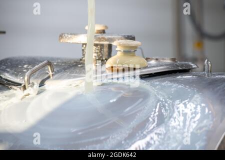 Rohmilch läuft während der Verarbeitung von Milchprodukten bei Broom Bloom Stockfoto