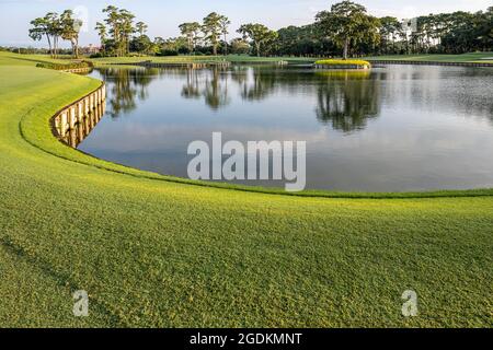 Blick auf das weltberühmte 17. Island Green von der Abschlagbox im TPC Sawgrass, dem Austragungsort DES GOLFTURNIERS IN Ponte Vedra Beach, Florida. (USA) Stockfoto