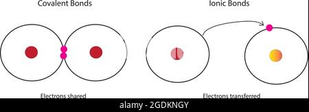 Ionische Anleihen und kovalente Anleihen Stock Vektor