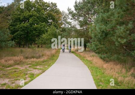 Radweg im Nationalpark De Hoge Veluwe, Niederlande Stockfoto