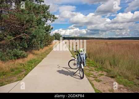 Radweg im Nationalpark De Hoge Veluwe, Niederlande Stockfoto