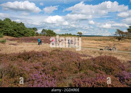 Besucher im Nationalpark De Hoge Veluwe, Niederlande Stockfoto