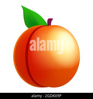 Pfirsich reif, Frucht ganz frisch organisch, orange Farbe, Ikone. Vektorgrafik Symbol Symbol Cartoon Stock Vektor