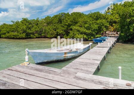 Holzsteg mit Booten auf Caye Caulker Island, Belize Stockfoto